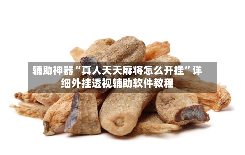 辅助神器“真人天天麻将怎么开挂”详细外挂透视辅助软件教程-第2张图片