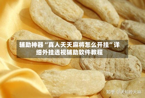 辅助神器“真人天天麻将怎么开挂”详细外挂透视辅助软件教程