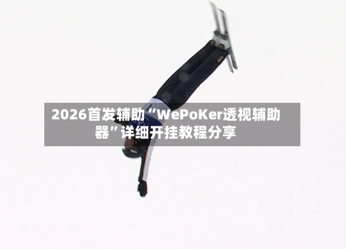 2026首发辅助“WePoKer透视辅助器”详细开挂教程分享-第2张图片