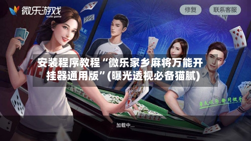 安装程序教程“微乐家乡麻将万能开挂器通用版”(曝光透视必备猫腻)-第2张图片