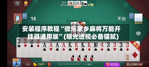 安装程序教程“微乐家乡麻将万能开挂器通用版	”(曝光透视必备猫腻)-第3张图片