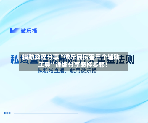 辅助教程分享“微乐最厉害三个辅助工具	”详细分享装挂步骤!-第2张图片