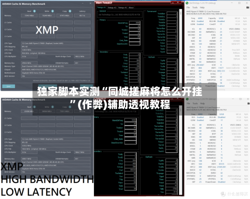 独家脚本实测“同城搓麻将怎么开挂”(作弊)辅助透视教程