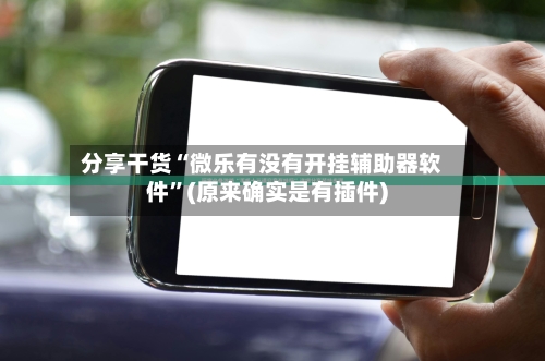 分享干货“微乐有没有开挂辅助器软件”(原来确实是有插件)-第3张图片