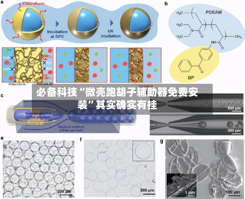 必备科技“微壳跑胡子辅助器免费安装”其实确实有挂-第3张图片