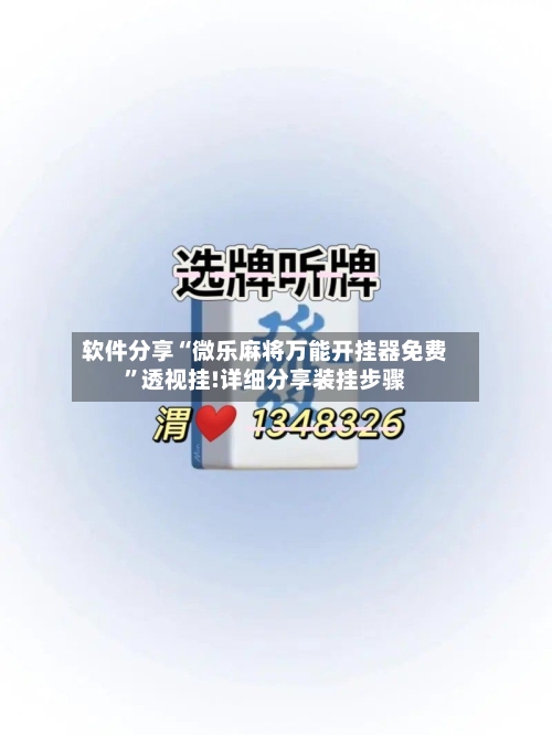 软件分享“微乐麻将万能开挂器免费”透视挂!详细分享装挂步骤-第3张图片