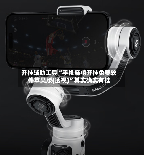 开挂辅助工具“手机麻将开挂免费软件苹果版(透视)”其实确实有挂