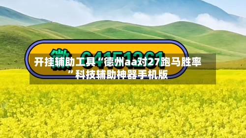 开挂辅助工具“德州aa对27跑马胜率”科技辅助神器手机版-第3张图片