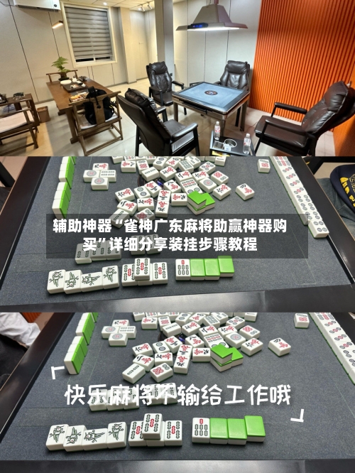 辅助神器“雀神广东麻将助赢神器购买”详细分享装挂步骤教程-第2张图片