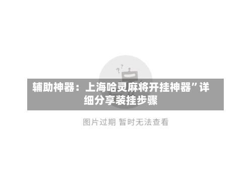 辅助神器：上海哈灵麻将开挂神器”详细分享装挂步骤-第2张图片