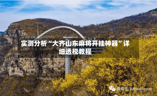 实测分析“大齐山东麻将开挂神器	”详细透视教程-第2张图片