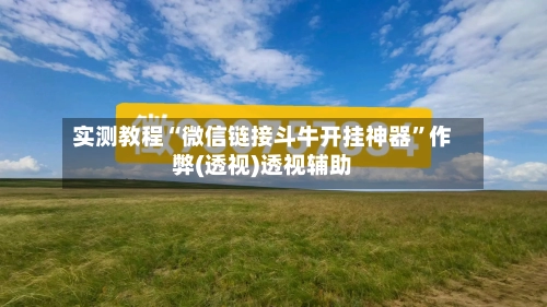 实测教程“微信链接斗牛开挂神器”作弊(透视)透视辅助-第2张图片