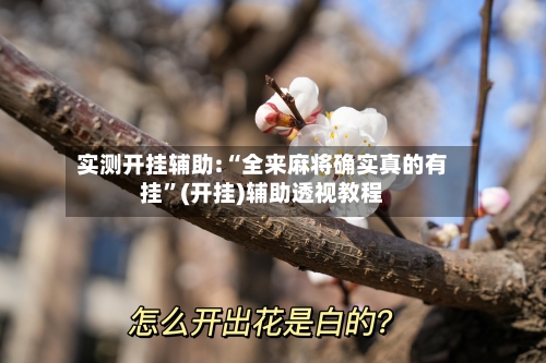 实测开挂辅助:“全来麻将确实真的有挂”(开挂)辅助透视教程-第2张图片