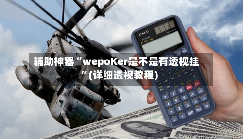辅助神器“wepoKer是不是有透视挂”(详细透视教程)-第2张图片