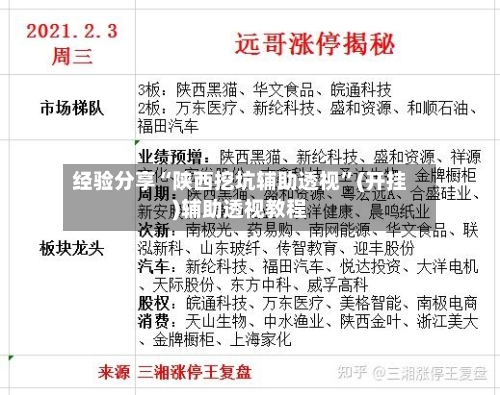 经验分享“陕西挖坑辅助透视”(开挂)辅助透视教程