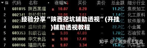 经验分享“陕西挖坑辅助透视”(开挂)辅助透视教程-第3张图片