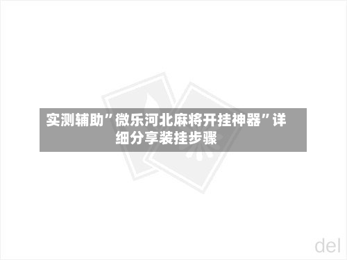 实测辅助”微乐河北麻将开挂神器”详细分享装挂步骤
