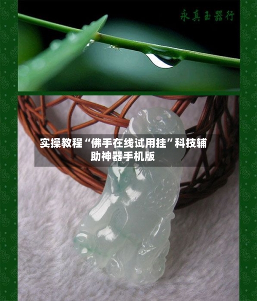 实操教程“佛手在线试用挂”科技辅助神器手机版-第2张图片