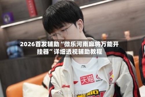 2026首发辅助“微乐河南麻将万能开挂器	”详细透视辅助教程-第2张图片