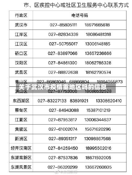 关于武汉市疫情重地区吗的信息-第2张图片