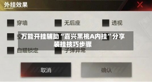 万能开挂辅助“嘉兴黑桃A内挂	”分享装挂技巧步骤-第2张图片