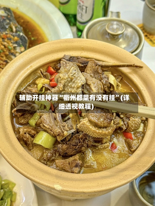 辅助开挂神器“衢州都菜有没有挂”(详细透视教程)-第2张图片
