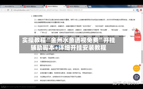 实操教程“金州水鱼透视免费	”开挂辅助脚本+详细开挂安装教程-第2张图片