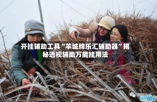 开挂辅助工具“羊城牌乐汇辅助器”揭秘透视辅助万能挂用法