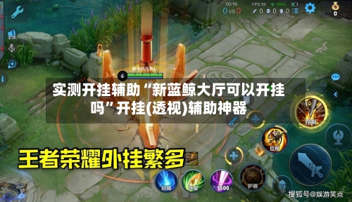 实测开挂辅助“新蓝鲸大厅可以开挂吗”开挂(透视)辅助神器-第3张图片
