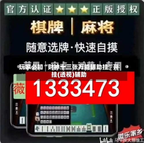 玩家必知“财神十三张万能辅助挂	”开挂(透视)辅助-第2张图片