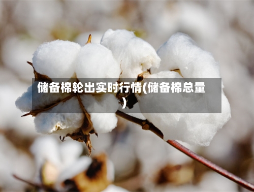 储备棉轮出实时行情(储备棉总量)