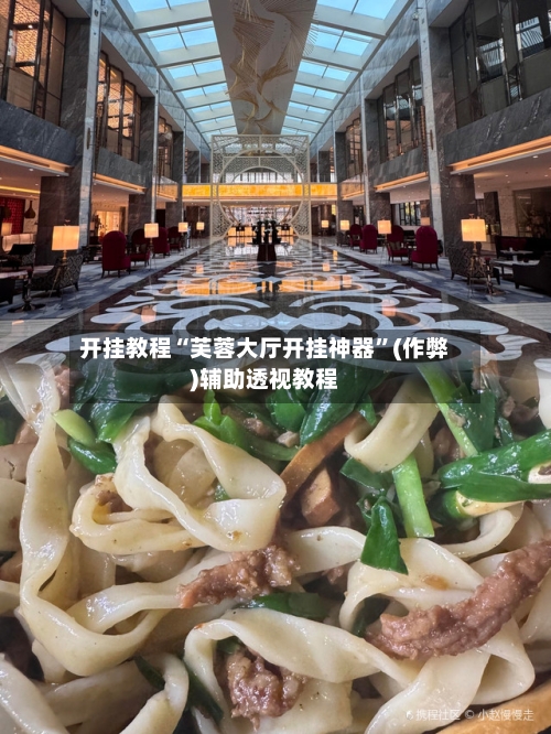 开挂教程“芙蓉大厅开挂神器”(作弊)辅助透视教程