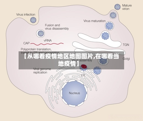 【从哪看疫情地区地图图片,在哪看当地疫情】