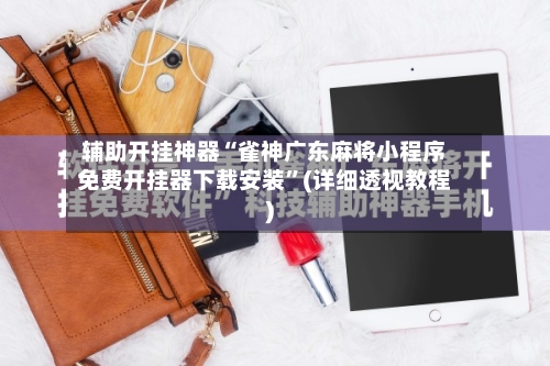 辅助开挂神器“雀神广东麻将小程序免费开挂器下载安装”(详细透视教程)-第2张图片