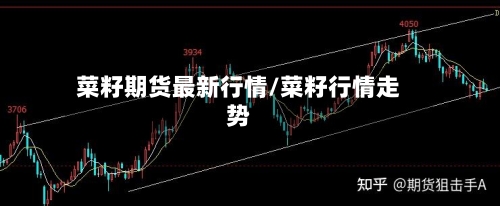菜籽期货最新行情/菜籽行情走势-第2张图片