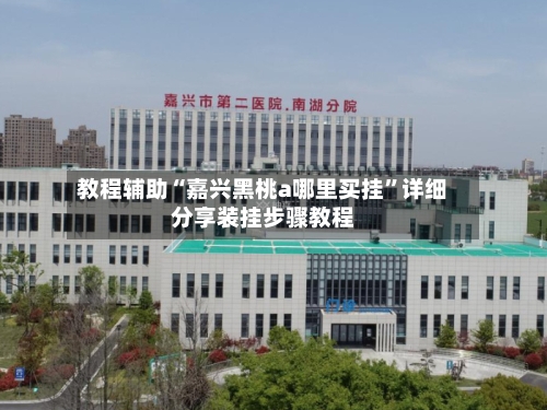 教程辅助“嘉兴黑桃a哪里买挂”详细分享装挂步骤教程-第3张图片