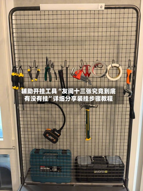 辅助开挂工具“友间十三张究竟到底有没有挂	”详细分享装挂步骤教程-第2张图片