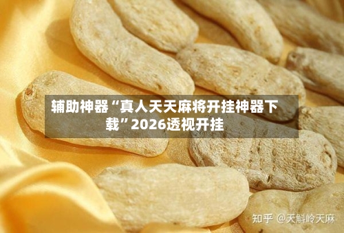 辅助神器“真人天天麻将开挂神器下载”2026透视开挂-第2张图片