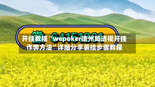 开挂教程“wepoker德州局透视开挂作弊方法”详细分享装挂步骤教程-第2张图片