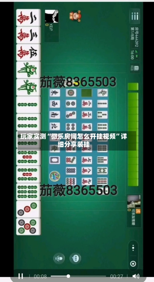 玩家实测“微乐房间怎么开挂视频”详细分享装挂-第2张图片