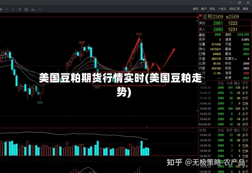 美国豆粕期货行情实时(美国豆粕走势)