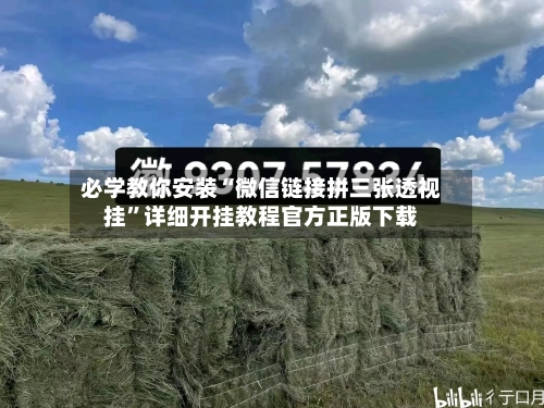 必学教你安装“微信链接拼三张透视挂”详细开挂教程官方正版下载-第2张图片