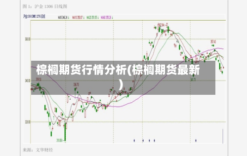 棕榈期货行情分析(棕榈期货最新)-第2张图片