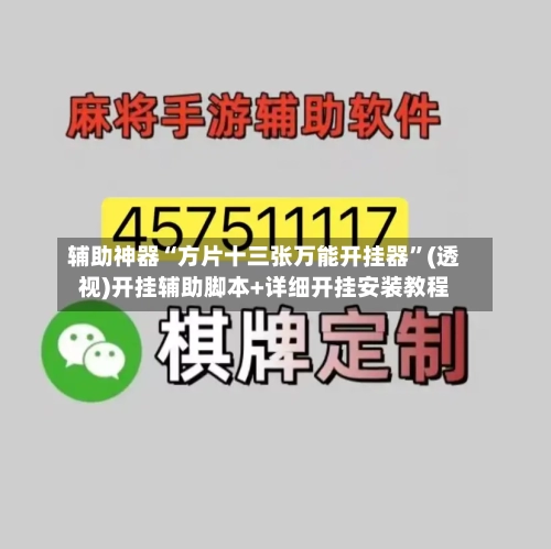 辅助神器“方片十三张万能开挂器	”(透视)开挂辅助脚本+详细开挂安装教程-第2张图片