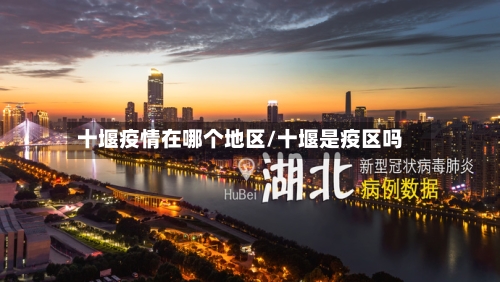 十堰疫情在哪个地区/十堰是疫区吗-第3张图片