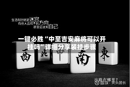 一键必胜“中至吉安麻将可以开挂吗”详细分享装挂步骤-第3张图片