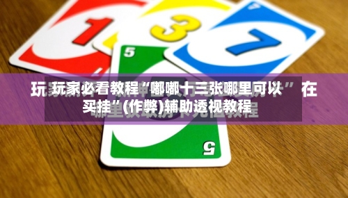 玩家必看教程“嘟嘟十三张哪里可以买挂”(作弊)辅助透视教程-第3张图片