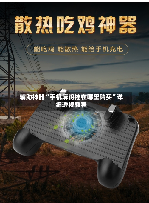 辅助神器“手机麻将挂在哪里购买	”详细透视教程-第2张图片