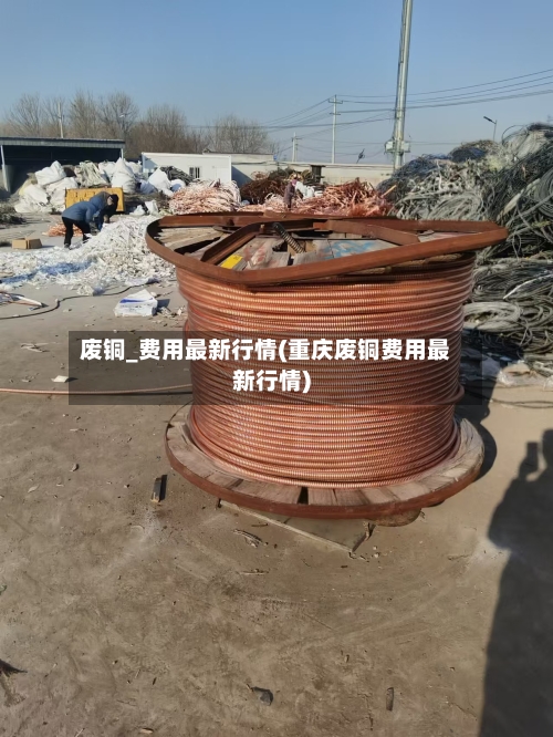 废铜_费用最新行情(重庆废铜费用最新行情)-第2张图片