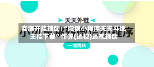 实测开挂辅助:“微信小程序天天斗地主挂下载	”作弊(透视)透视辅助-第2张图片